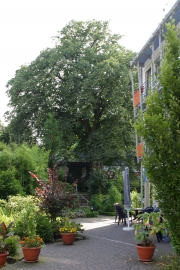 Altenwohnheim Kastanienhof